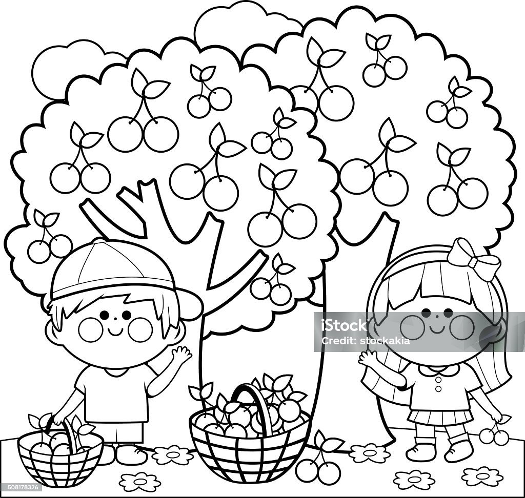 Kids harvesting cherries coloring book page Vector black and white Illustration of two children, a boy and a girl picking cherries under cherry trees. Coloring book page. Cherry stock vector