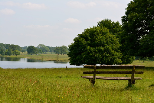 A peaceful and beautiful place to sit in the middle of a field