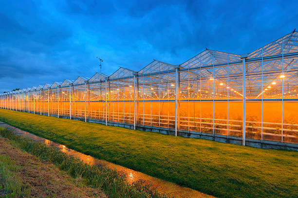 istock side view of an agricultural greenhouse 508180948