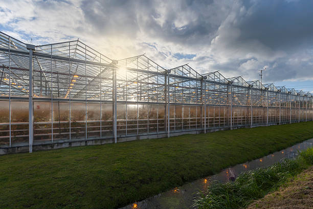 istock side view of an agricultural greenhouse 508181584