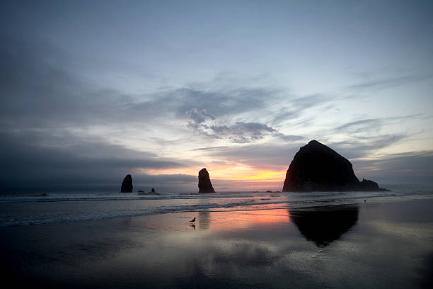istock Sea stacks of Cannon Beach, north Oregon coastline 508183376
