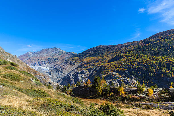 jesienią widok na lodowiec aletsch i eggishorn - eggishorn zdjęcia i obrazy z banku zdjęć