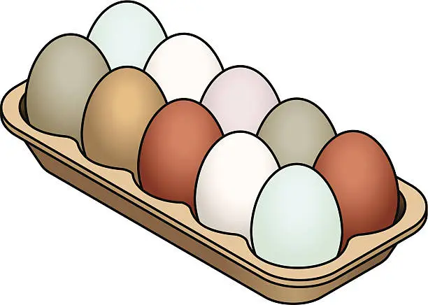 Vector illustration of Heritage Eggs