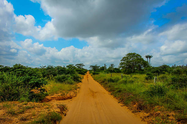 istock Savannah road, Angola 508183660