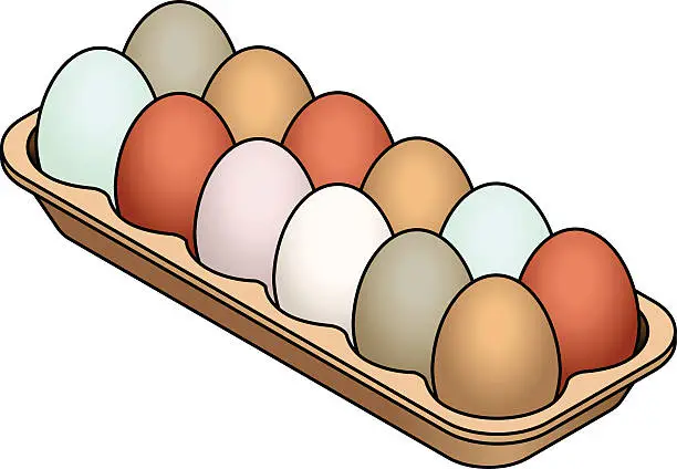 Vector illustration of Heritage Eggs