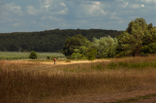 In the hot summer afternoon landscape of the village with a dusty road, boy on bicycle travels that leads to the woods