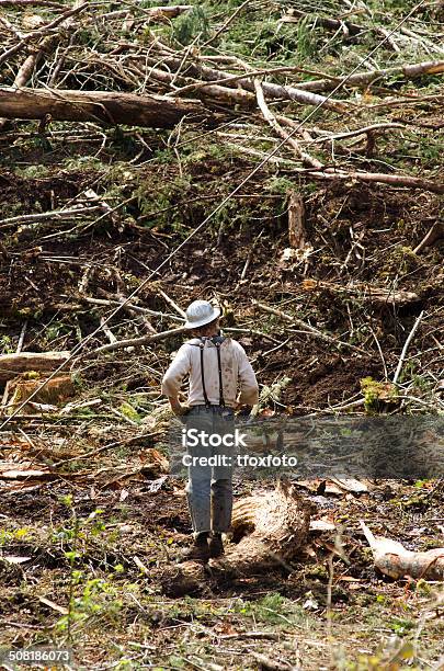 Choker Setter Stock Photo - Download Image Now - Brown, Choker, Environment