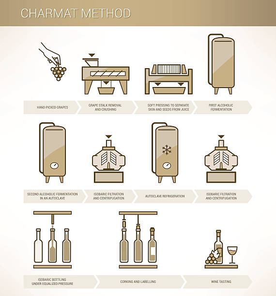 ilustraciones, imágenes clip art, dibujos animados e iconos de stock de charmat método - bottling plant industry drink food processing plant