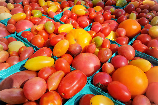 Tomate Heirloom - foto de stock