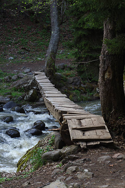 istock bridge across a river, Borjomi, Meskheti, Georgia 508186289