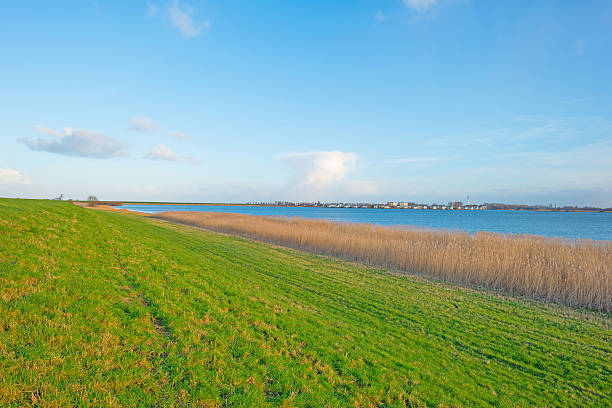 istock Shore of a lake below a blue cloudy sky 508186588