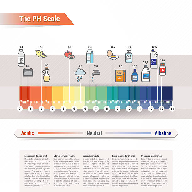 skala ph - healthcare and medicine backgrounds eggs animal egg stock illustrations