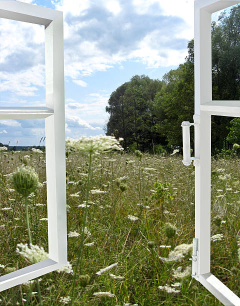 the image of opened window to the summer field