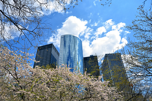 Professional office buildings with spring foliage in the foreground and partly cloudy skies above.