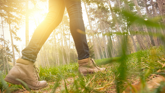 background of forest land with needles from a Christmas tree and women's sneakers view from the top close-up