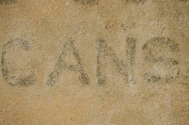 istock Cans Word Printed Text in Faded Old Print, Textured Facade 508187282