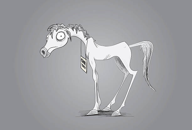 One Trick Pony Stock Illustration - Download Image Now - Horse