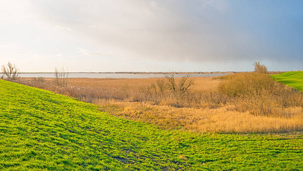 istock Shore of a lake below a blue cloudy sky 508188176