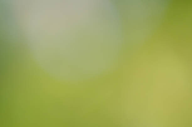 istock beautiful green nature bokeh abstract for background 508189005