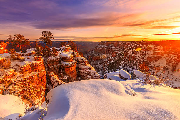 grand canyon en hiver - grand canyon photos et images de collection