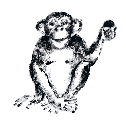 Hand drawn illustration of a chimpanzee sitting and holding a fruit in it's hand. Black and white graphics.