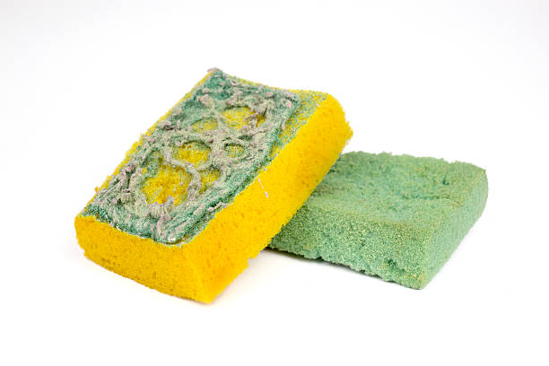 istock Used sponges for cleaning 508190422