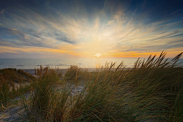 istock coastal scenery along the Dutch coast 508190746