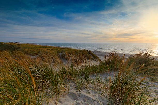 istock coastal scenery along the Dutch coast 508191560