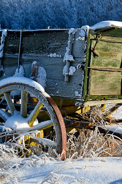 Old Wooden Wagon An image of an old wooden wagon covered in frost and snow. covered wagon horse cart snow winter stock pictures, royalty-free photos & images