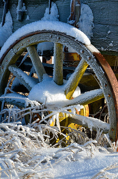 Old Wagon Wheel A close up image of an old yellow wagon wheel covered by frost and snow. covered wagon horse cart snow winter stock pictures, royalty-free photos & images