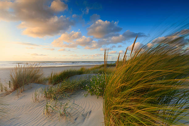 istock moody sunset along the Dutch coast 508193158