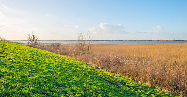 Shore of a lake below a blue cloudy sky