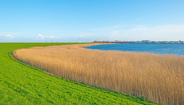istock Shore of a lake below a blue cloudy sky 508193344