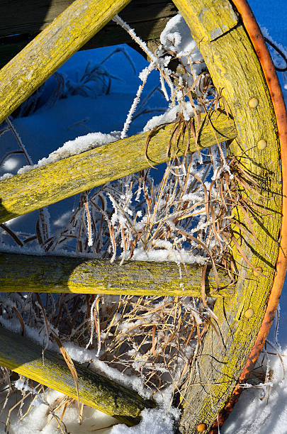 Old Yellow Wheel A close up image of a old wagon wheel in snow and tall grass. covered wagon horse cart snow winter stock pictures, royalty-free photos & images