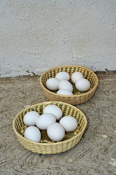 Eggs in Two Baskets stock photo