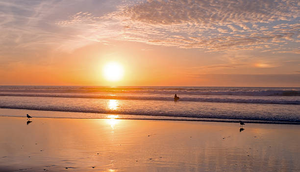 istock Sunset at Vale Figueiras beach in Portugal 508195028