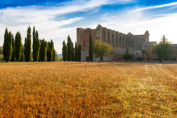 San Galgano roofless Abbey in Tuscany, Italy San Galgano is a roofless Cistercian abbey in Tuscany, Italy crete senesi stock pictures, royalty-free photos & images