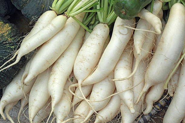 istock fresh radish in the market 508196033