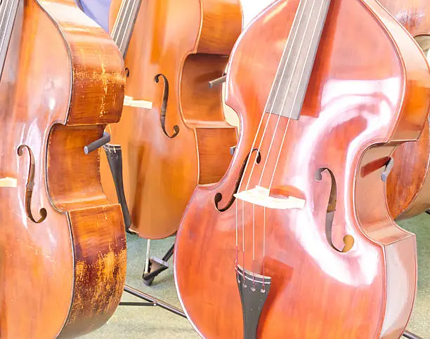 Photo of Violoncello shop