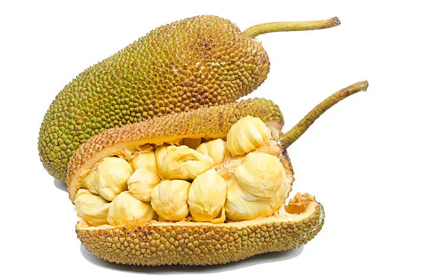 Jackfruit fruit isolated on white background.