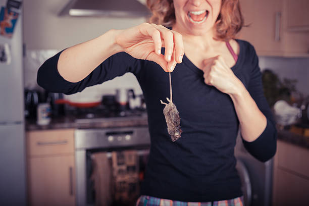 Woman with dead mouse in kitchen stock photo