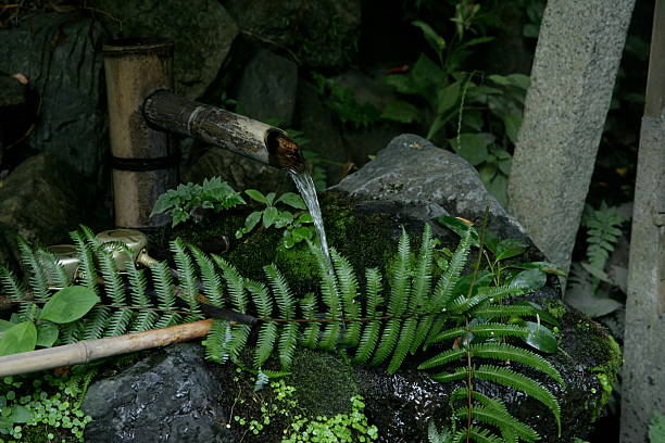 Water fountain