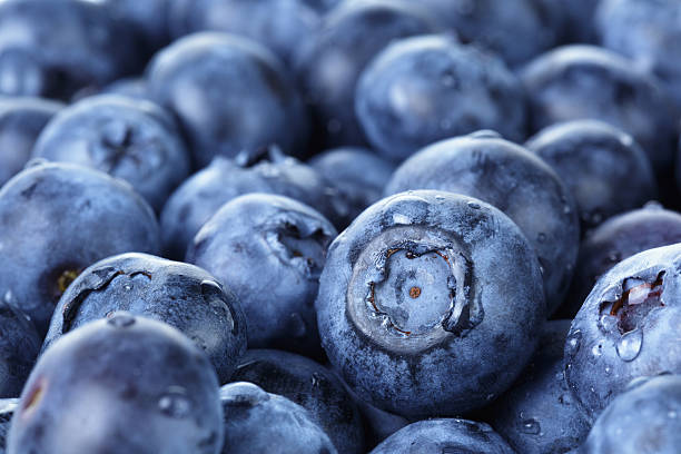 istock freshly washed blueberries close up photo 508200169