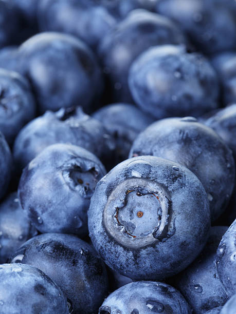 istock freshly washed blueberries close up photo 508200171