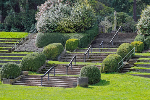 Large Portland, Oregon Rose Garden park stairs in amphitheater on a spring day.