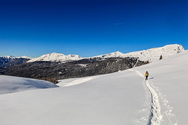 istock Pale di San Martino Natural Park in Winter 508209373