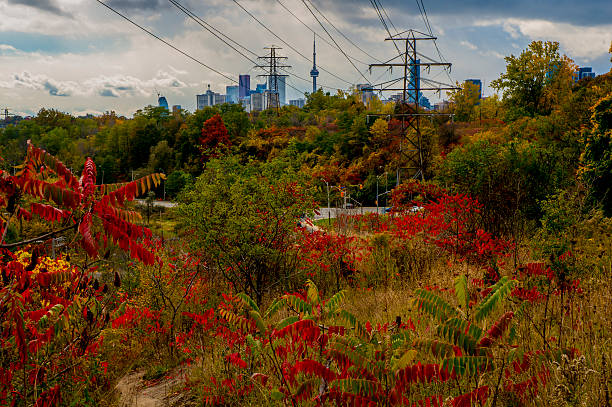 Taken during a hike in Toronto, Ontario on a beautiful October day.