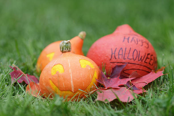 istock funny halloween pumkins on grass 508209801