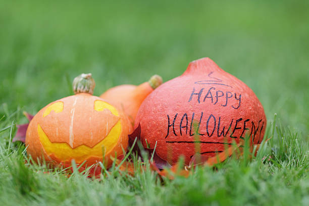 istock funny halloween pumkins on grass 508209805