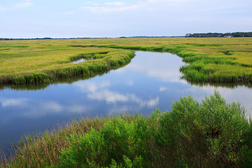 Village Creek is a series of canals winding through the marshes, eventually flowing into the Atlantic Ocean.